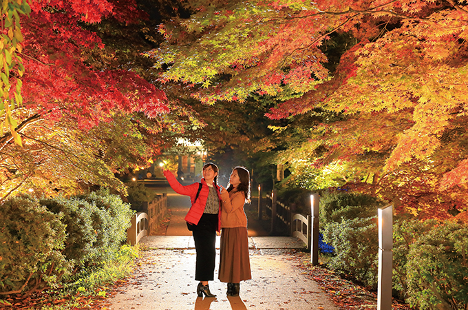弘前公園の紅葉